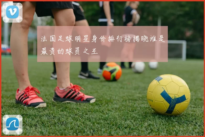 法国足球明星身价排行榜揭晓谁是最贵的球员之王