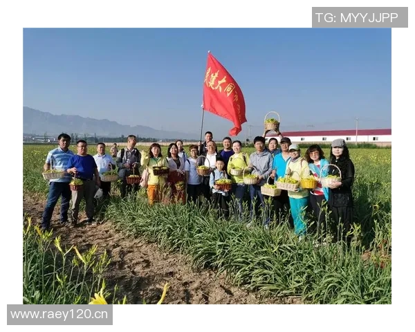 武汉攀岩队携手奋进团队协作排名创新高展现团结力量